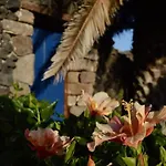 Appartement Casa Hibisco Mit Schoenem Garten By Interhome Uga