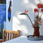Appartement Casa Hibisco Mit Schoenem Garten By Interhome *