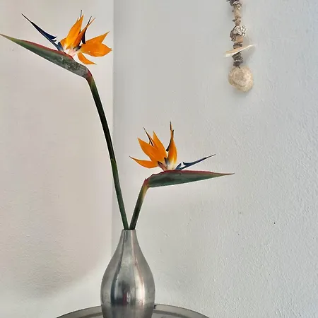 Casa Hibisco Mit Schoenem Garten By Interhome *