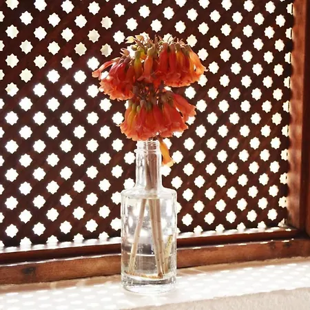 아파트 Casa Hibisco Mit Schoenem Garten By Interhome