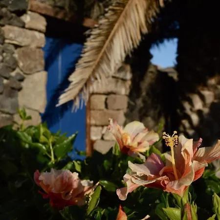 아파트 Casa Hibisco Mit Schoenem Garten By Interhome Uga