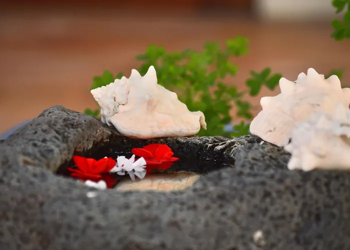 Casa Hibisco Mit Schoenem Garten By Interhome Apartment *