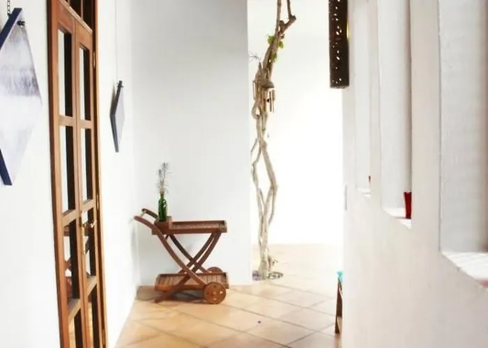 Casa Hibisco Mit Schoenem Garten By Interhome Apartment *