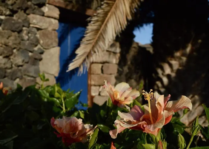 Apartment Casa Hibisco Mit Schoenem Garten By Interhome Uga