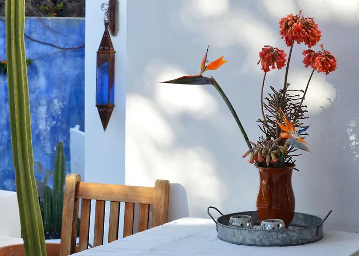 Apartment Casa Hibisco Mit Schoenem Garten By Interhome *