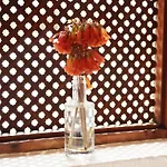 公寓 Casa Hibisco Mit Schoenem Garten By Interhome