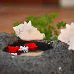 Casa Hibisco Mit Schoenem Garten By Interhome 公寓 *