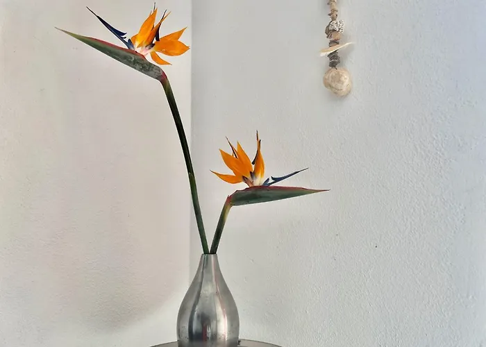 Casa Hibisco Mit Schoenem Garten By Interhome *