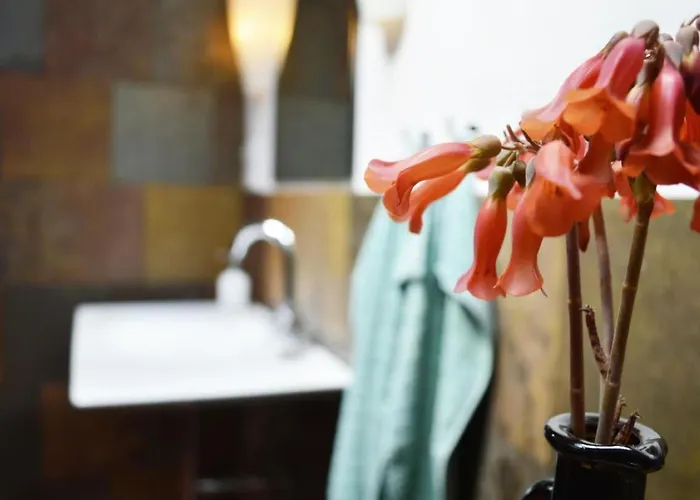 Casa Hibisco Mit Schoenem Garten By Interhome * Uga