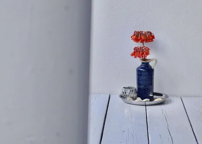 Casa Hibisco Mit Schoenem Garten By Interhome Uga