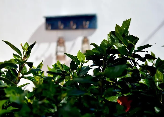 Casa Hibisco Mit Schoenem Garten By Interhome * Uga