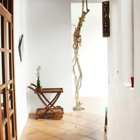Casa Hibisco Mit Schoenem Garten By Interhome Apartment *